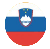 Slovenska verzija