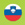 Slovenska verzija